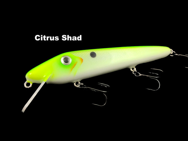 Chaos Tackle 8" Mini X