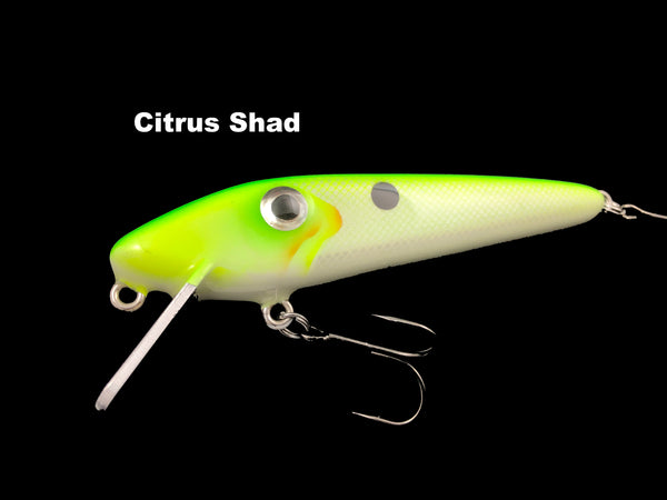Chaos Tackle 5" Mini X