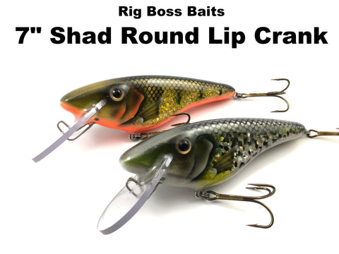 Rig Boss Baits 7" Shad Round Lip Crank