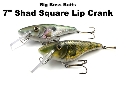 Rig Boss Baits 7" Shad Square Lip Crank