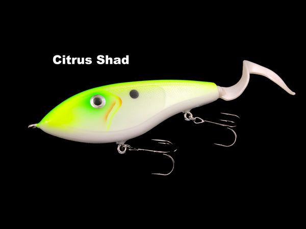 Chaos Tackle Shum Tap Dancer