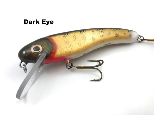 H2O Tackle 7" Cranky Nitro*