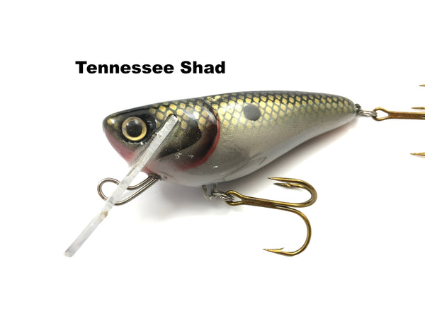 Muskie Train Crazy Train