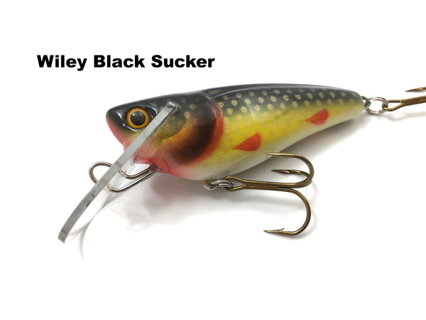 Muskie Train Crazy Train