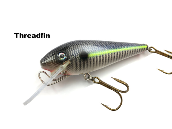 Leo Lures MoJoe Shad