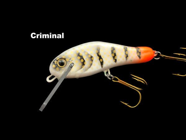 Muskie Train MF Shad