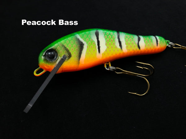 Muskie Train MF Shad
