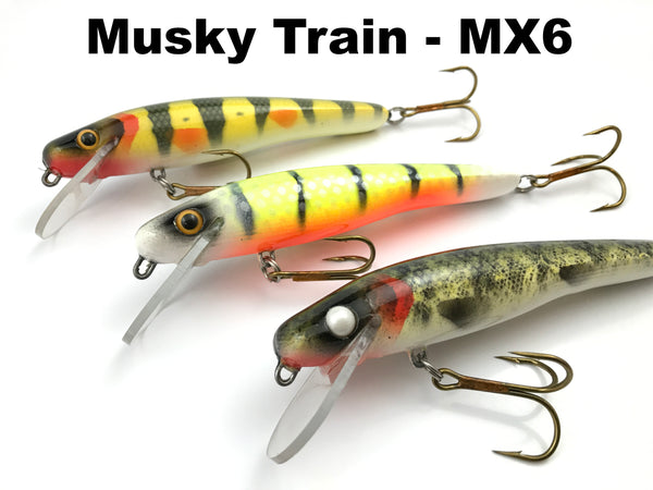 Muskie Train MX6