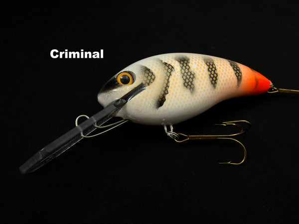 Muskie Train MAGNUM Diesel