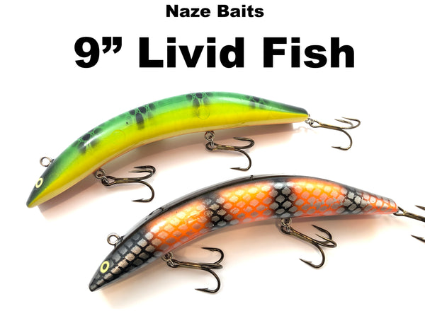 Naze Baits 9" Livid Fish