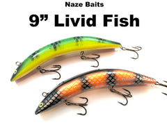 NazeBaits9Cover_medium.jpg?v=