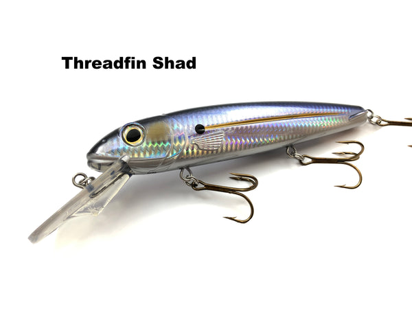 Livingston Lures Rachel