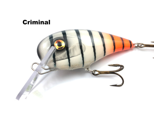 Adam's Custom Lures Road Kill Crankbait