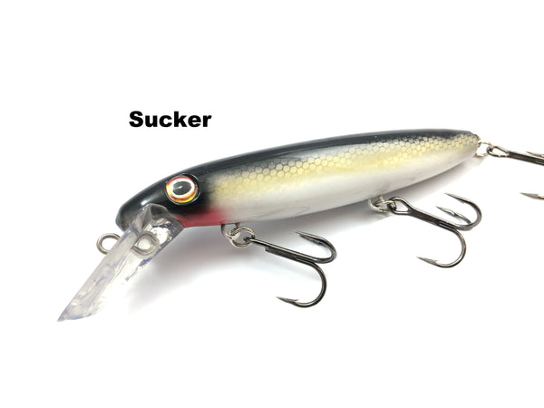 Joe Bucher Outdoors 8" SUSPENDING Depth Raider