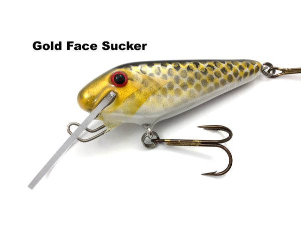 Wyss Baits 5" Shad