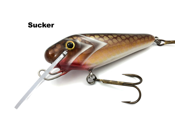 Wyss Baits 5" Shad
