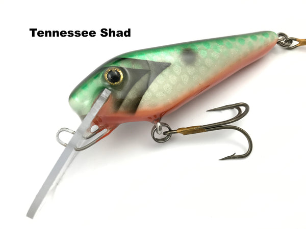 Wyss Baits 5" Shad
