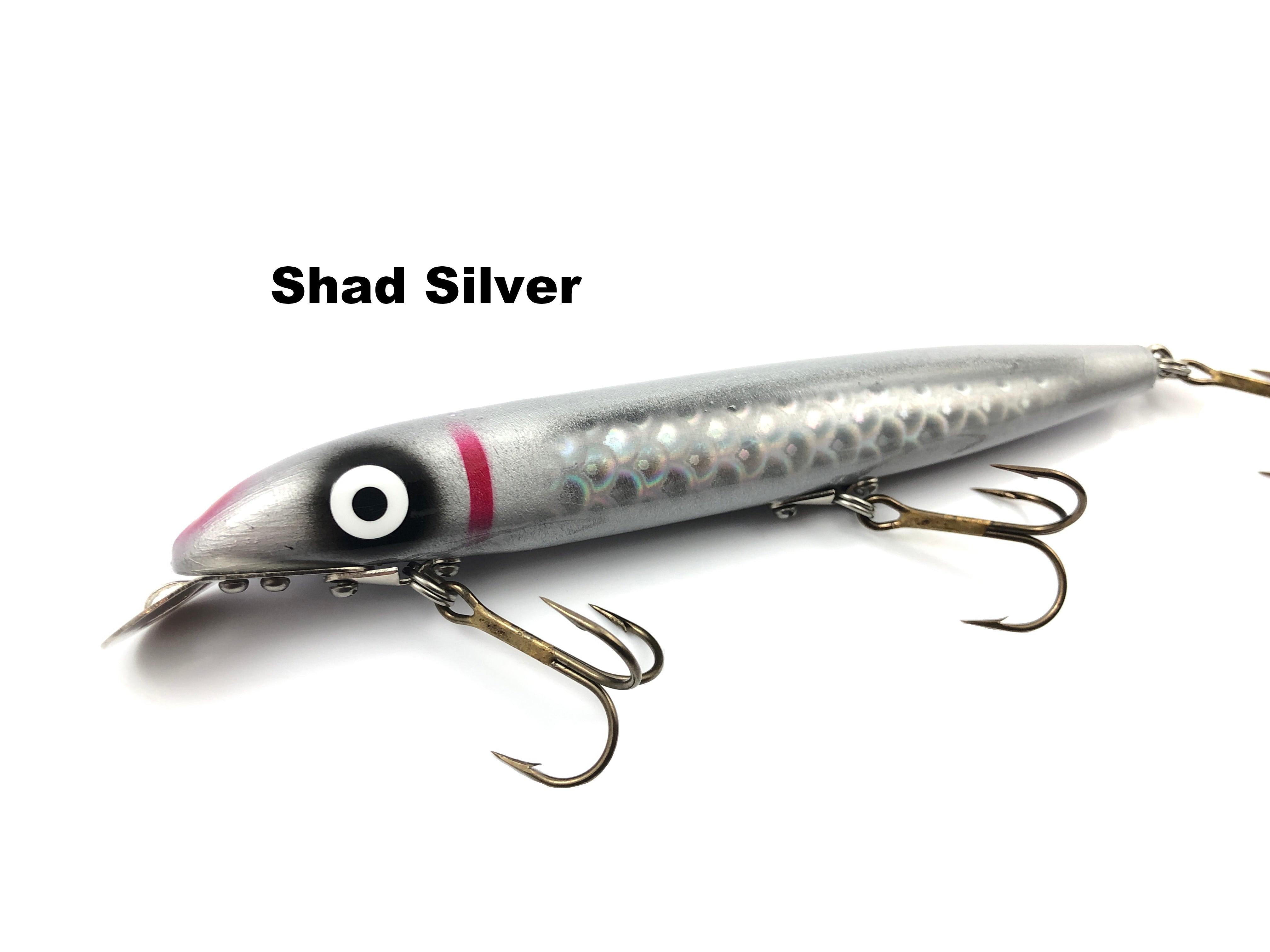 cisco shad fishing lure Suick Lures