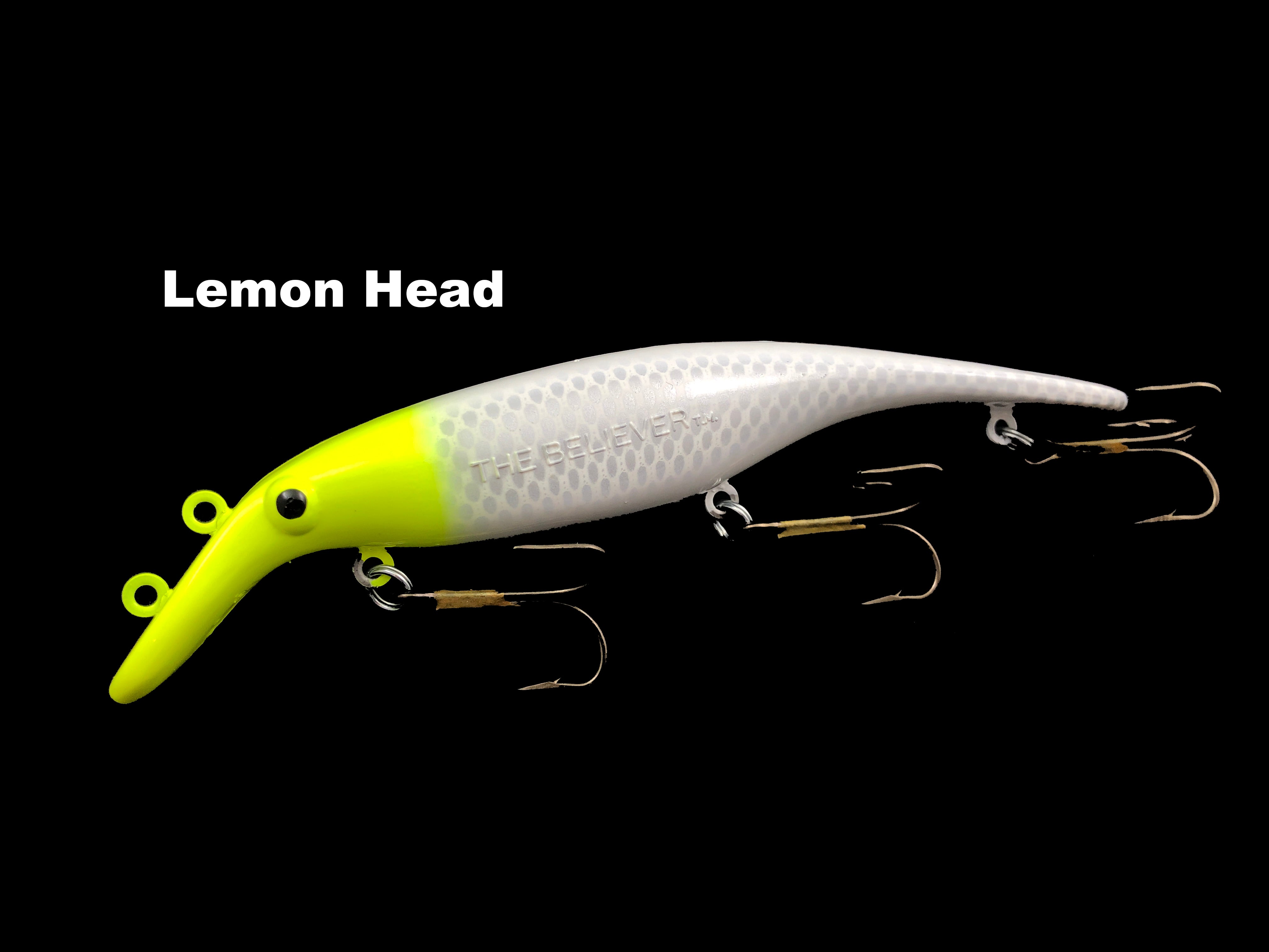 evans booby trap fishing lures f20 Drifter Tackle 8" Straight Believer – Team Rhino Outdoors LLC