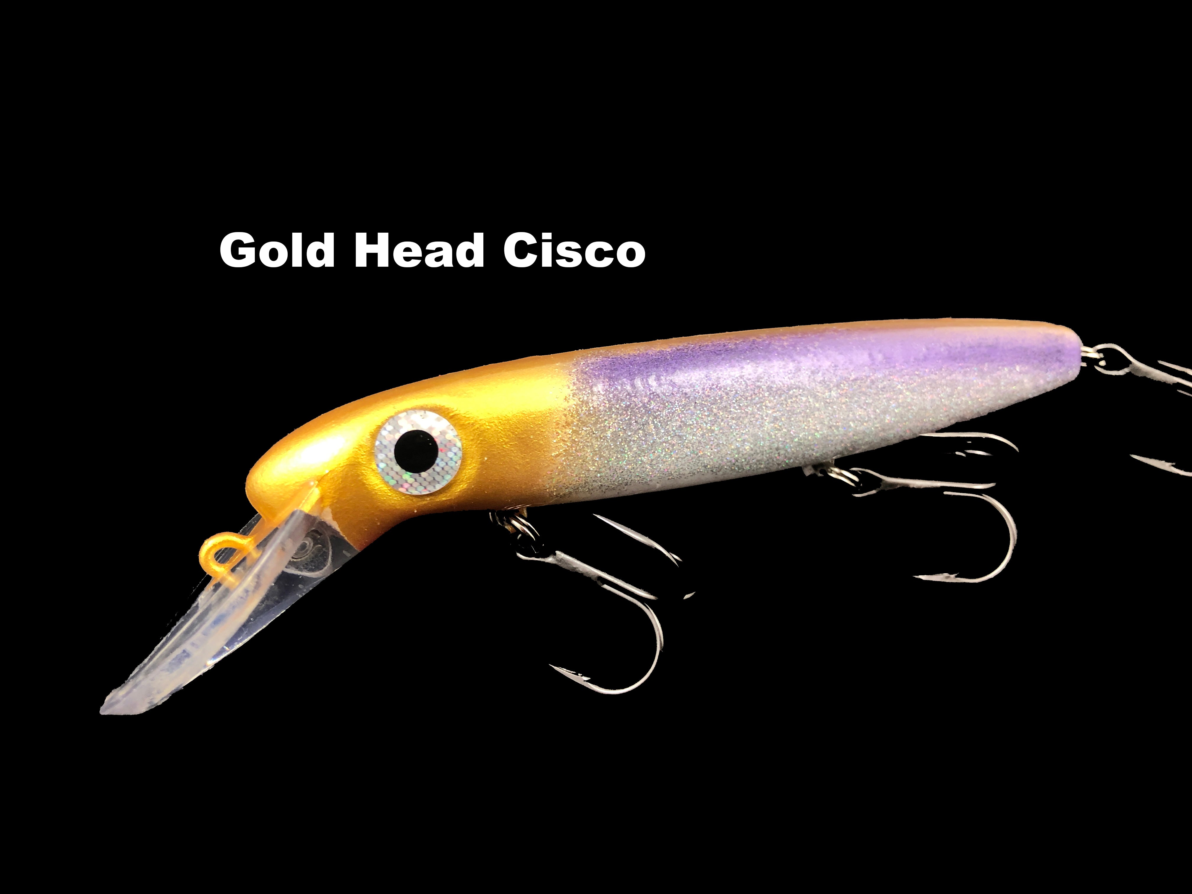 depth raider fishing lure Joe Bucher Outdoors 6" Depth Raider – Team Rhino Outdoors LLC
