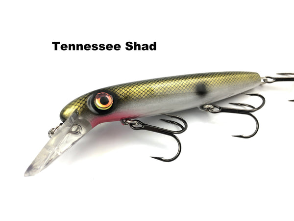 Joe Bucher Tackle 6" Baby Depth Raider