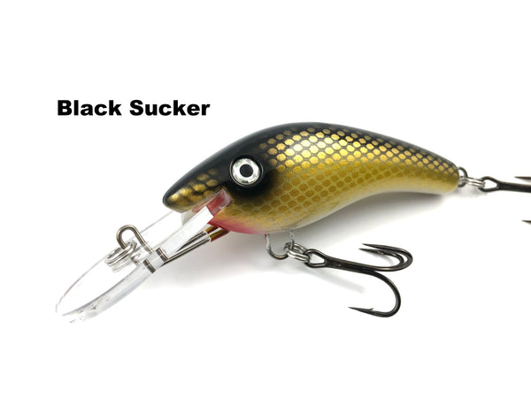 Blue Water Baits - 5" KO Shad