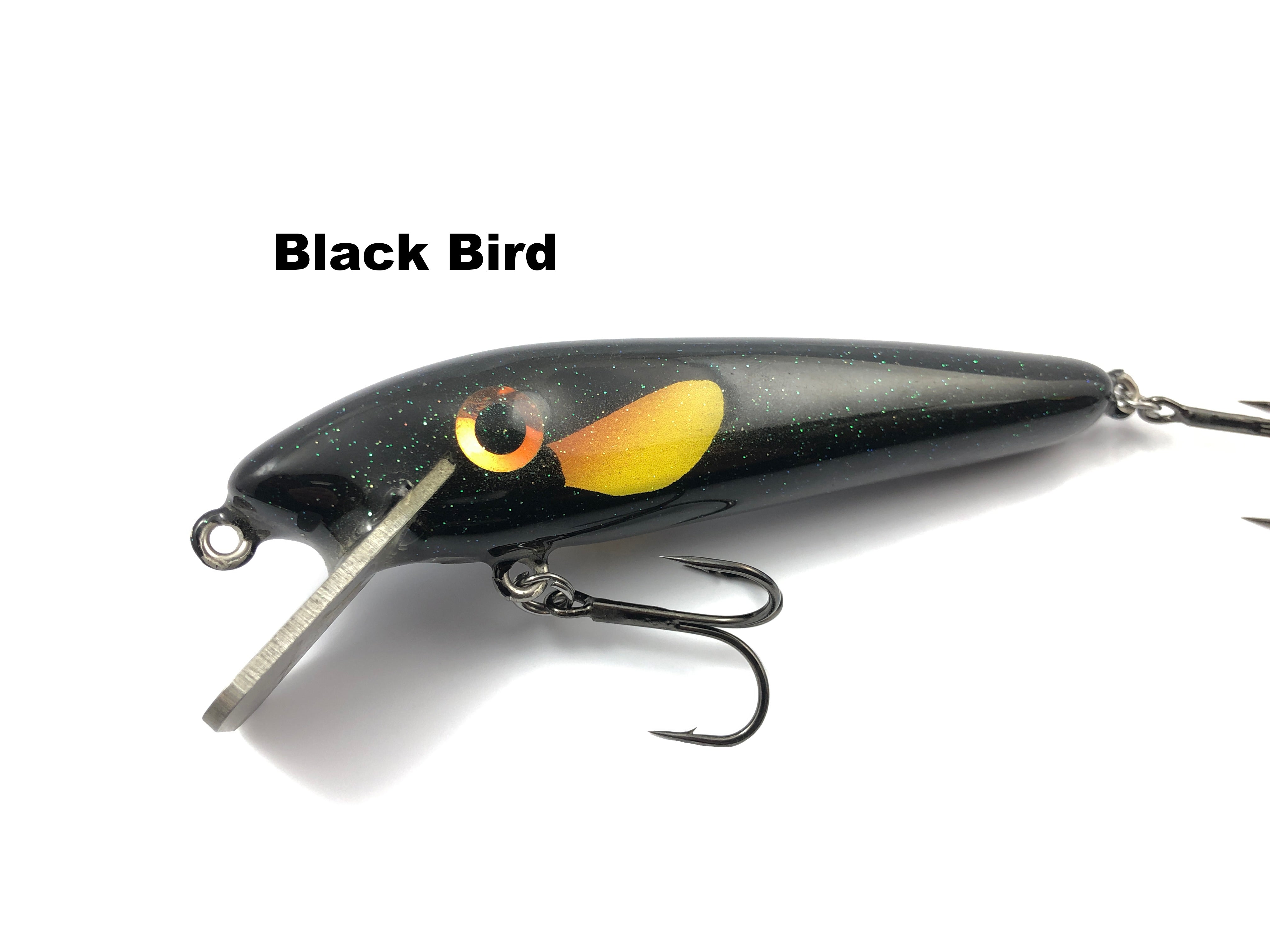 chaparral fishing lures 44610 Chaos Tackle 5" Mini X – Team Rhino Outdoors LLC
