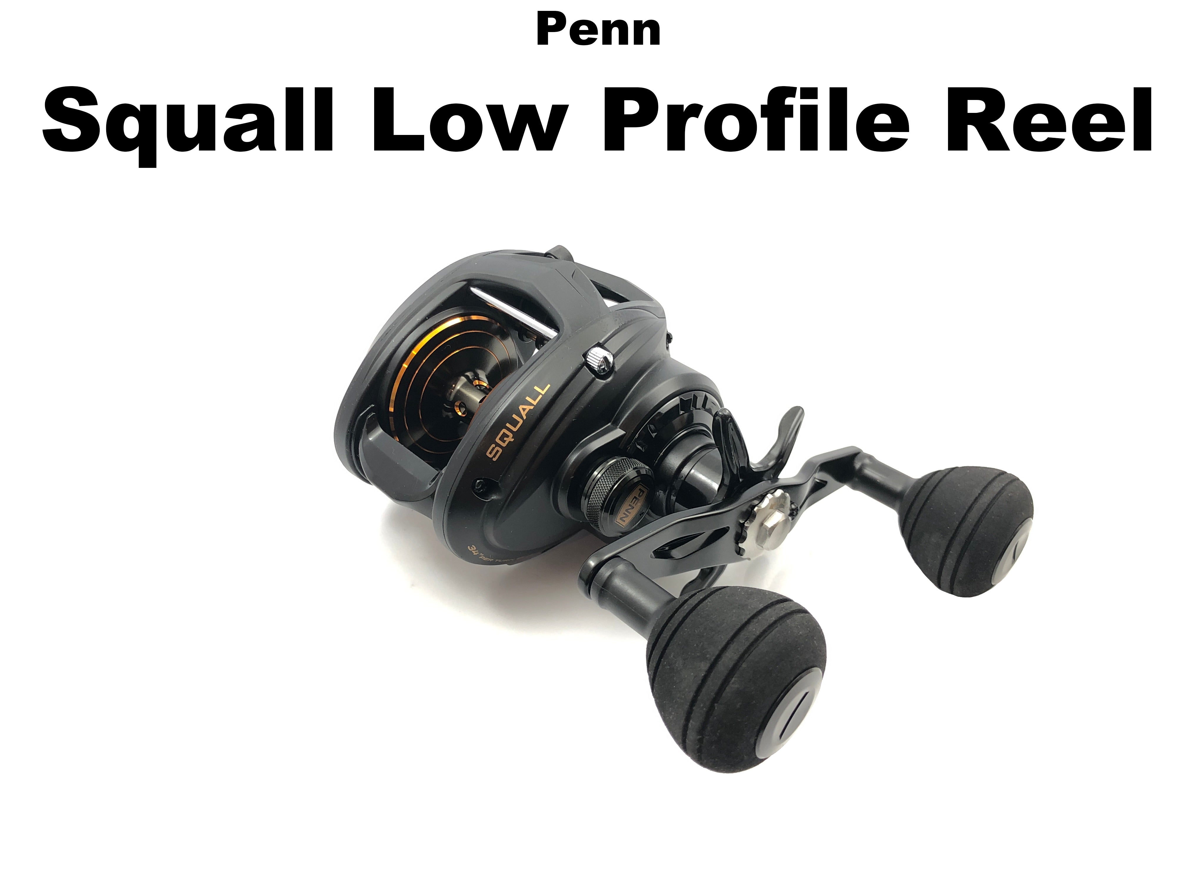 Penn Squall Low Profile Reel – Team Rhino Outdoors LLC