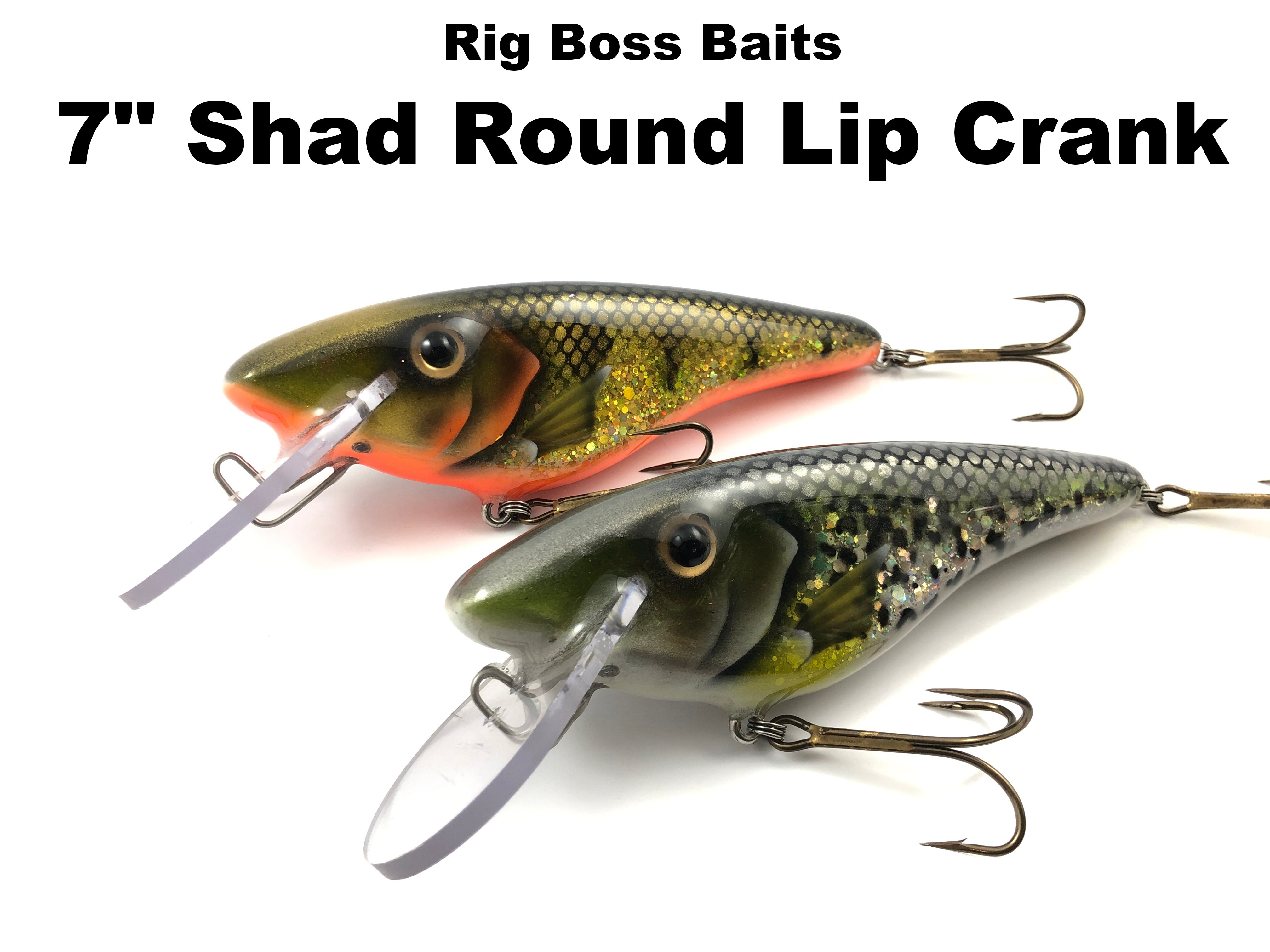 Rig Boss Baits 7 Shad Round Lip Crank – Team Rhino Outdoors LLC