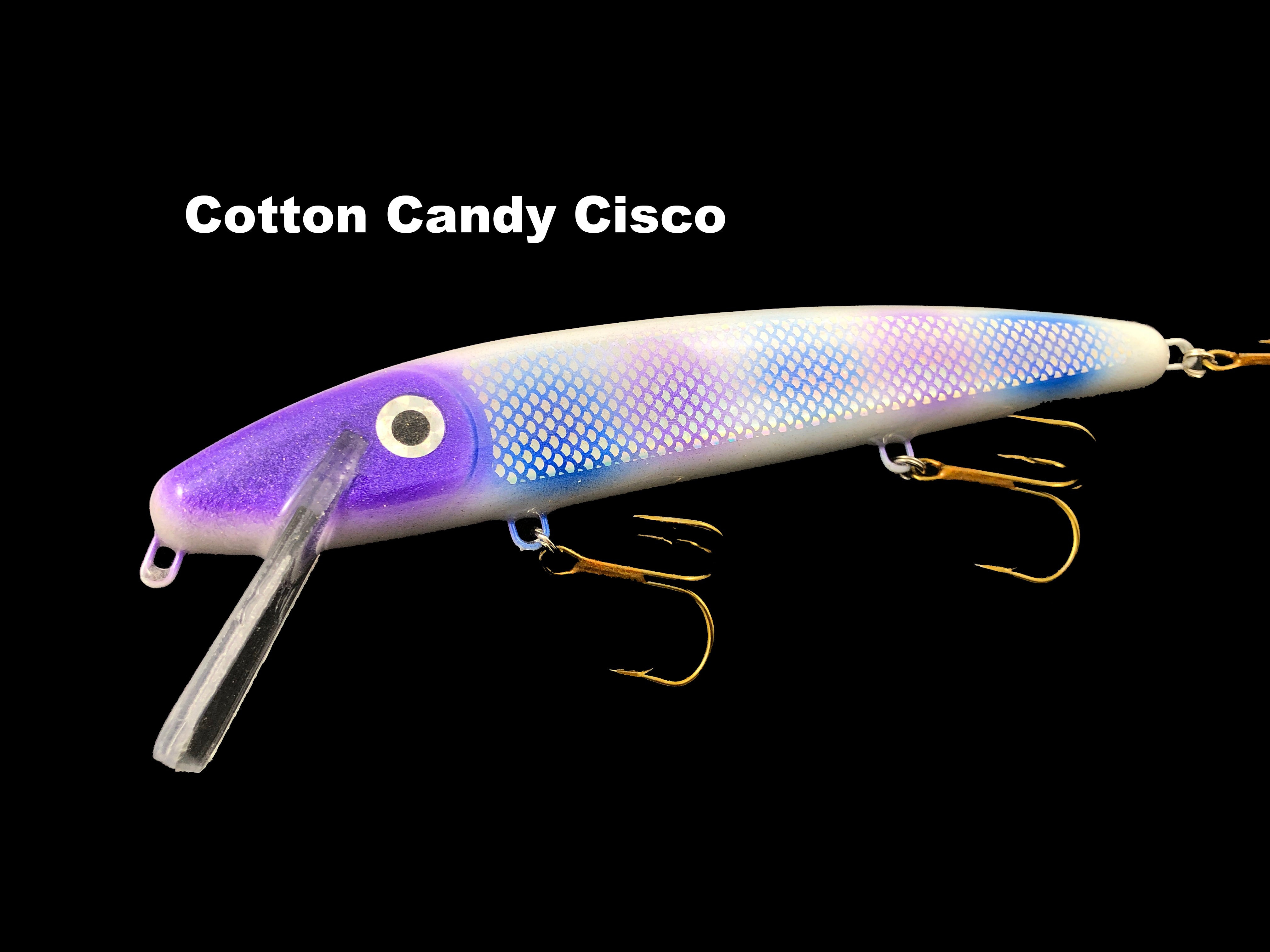clinch knot minnow swarm fishing lure Slammer Tackle 9" Shallow Minnow – Team Rhino Outdoors LLC