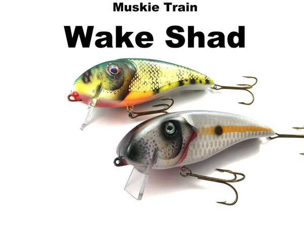 Muskie Train Wake Shad