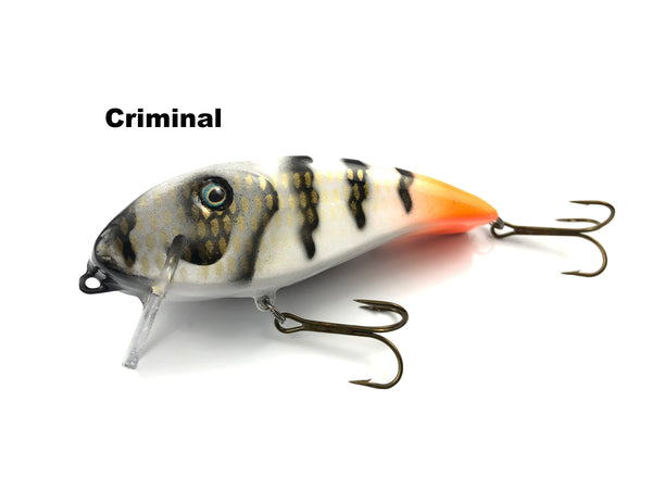 Muskie Train Wake Shad