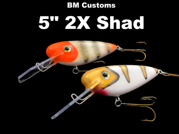 BM Customs - 5" 2X Shad