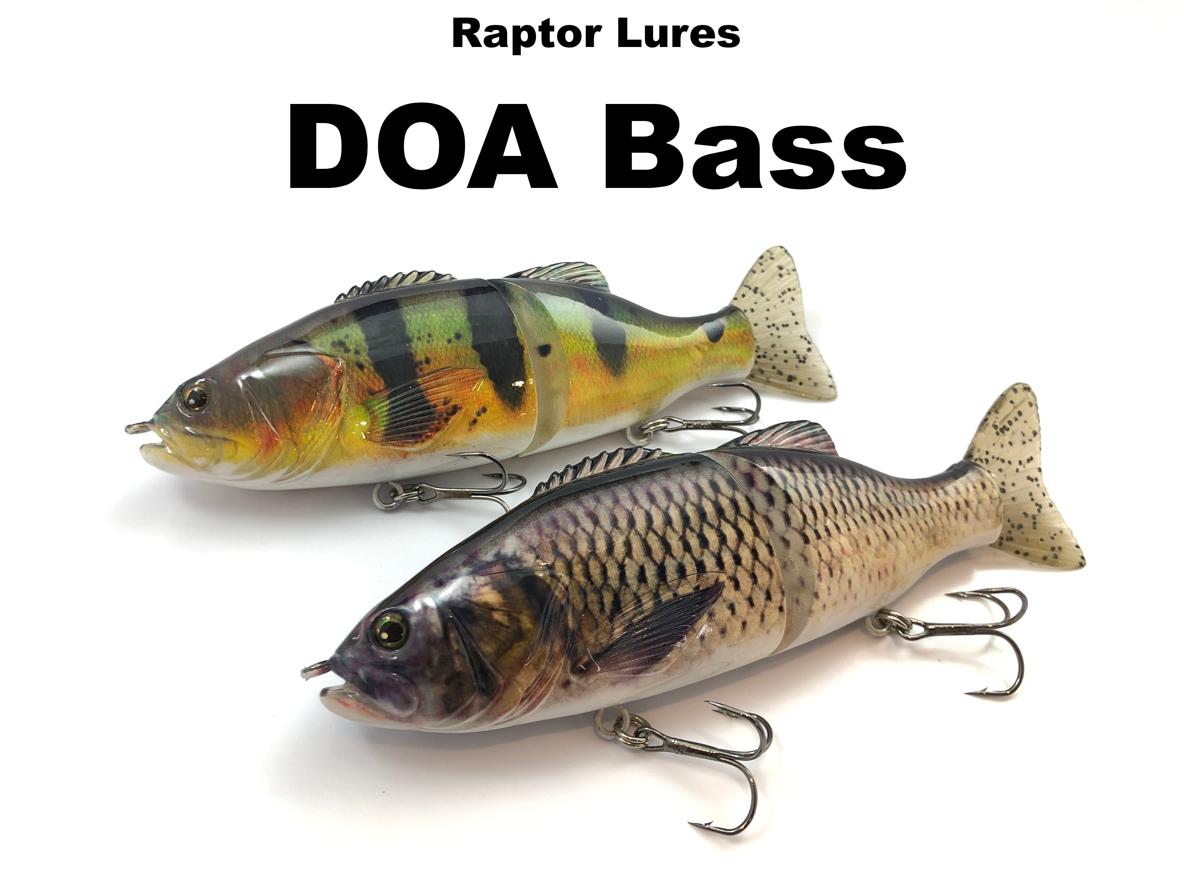 Raptor Lures - DOA Bass – Team Rhino Outdoors LLC