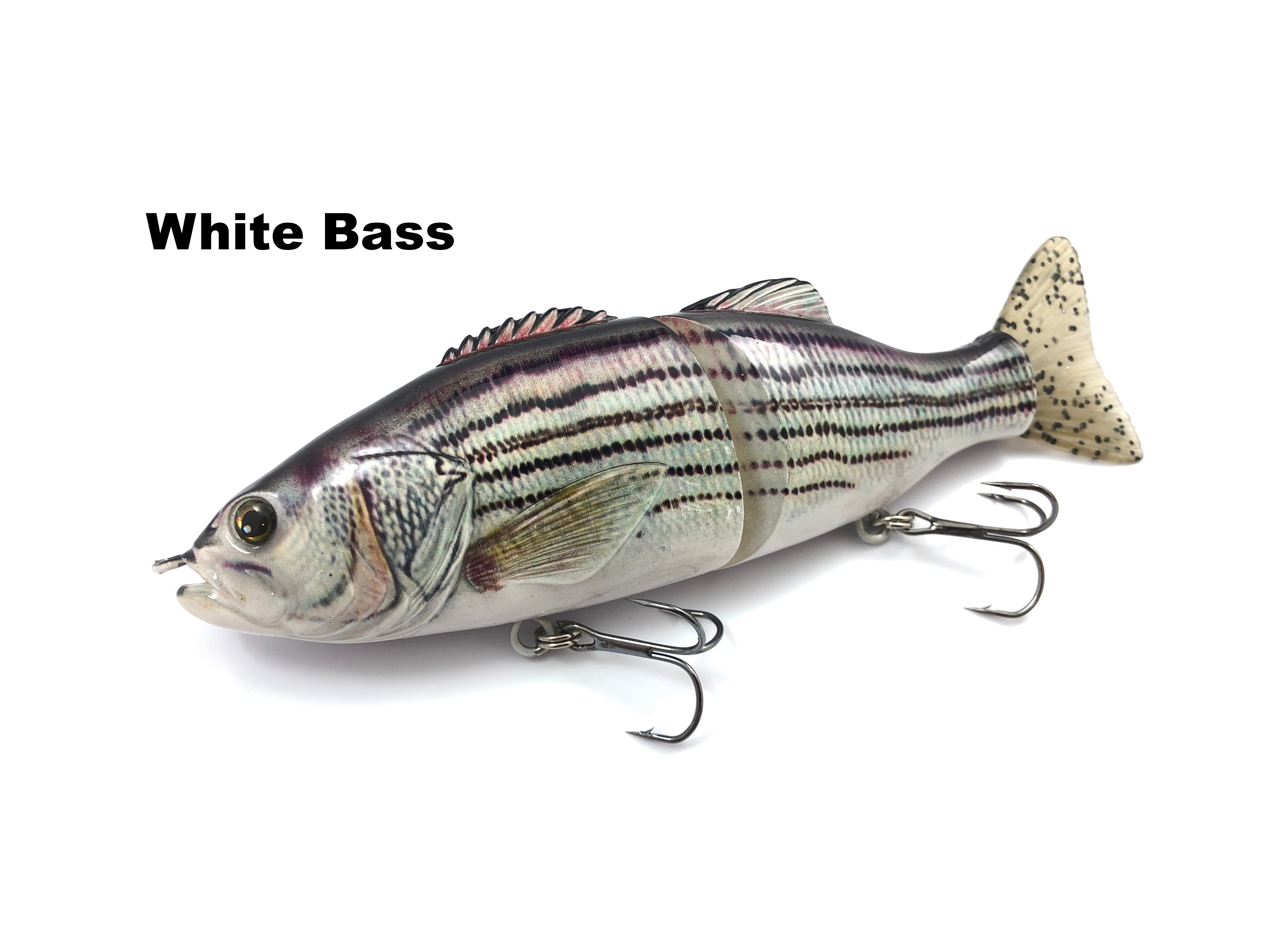 How to Use Planer Boards with Striped Bass Fishing Lures - Shore Tackle and  Custom Rods