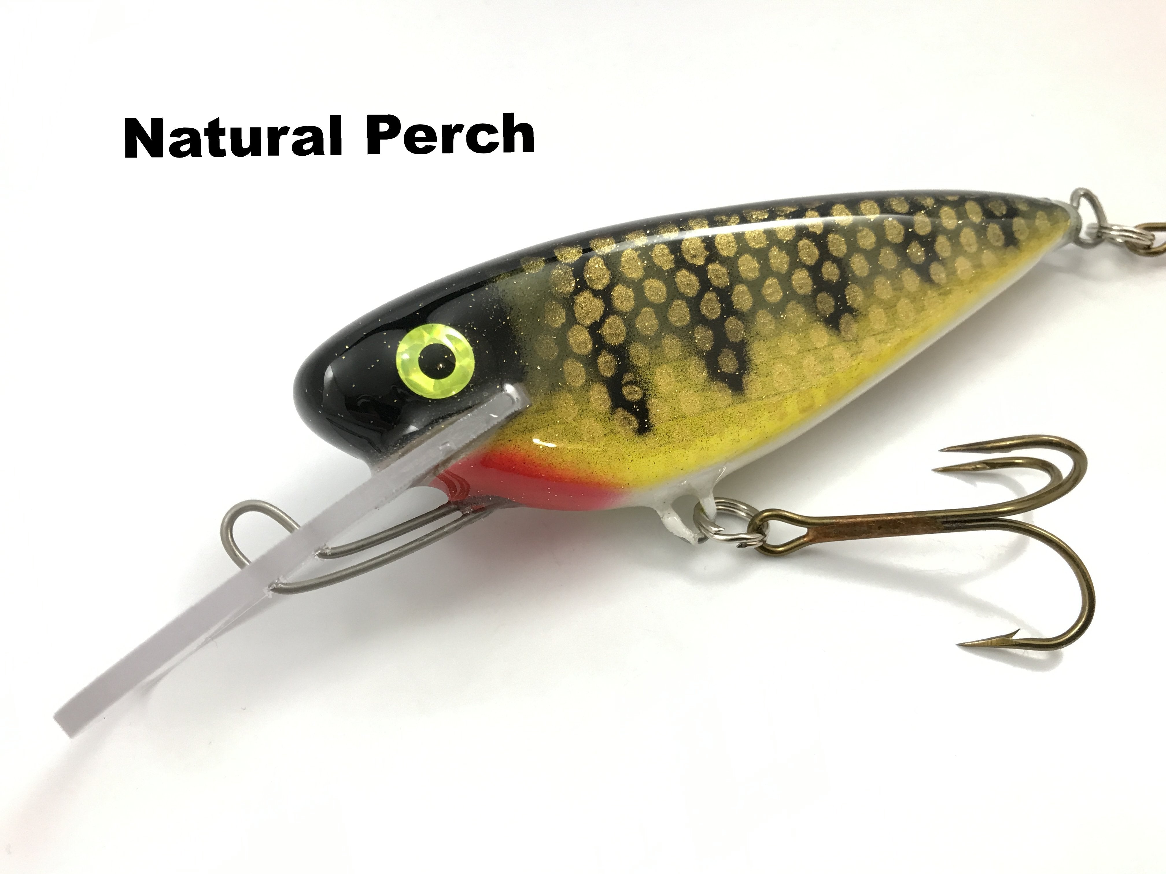  Tube Fishing Trout Area Hankle Shad Bone 65SR : Sports &  Outdoors