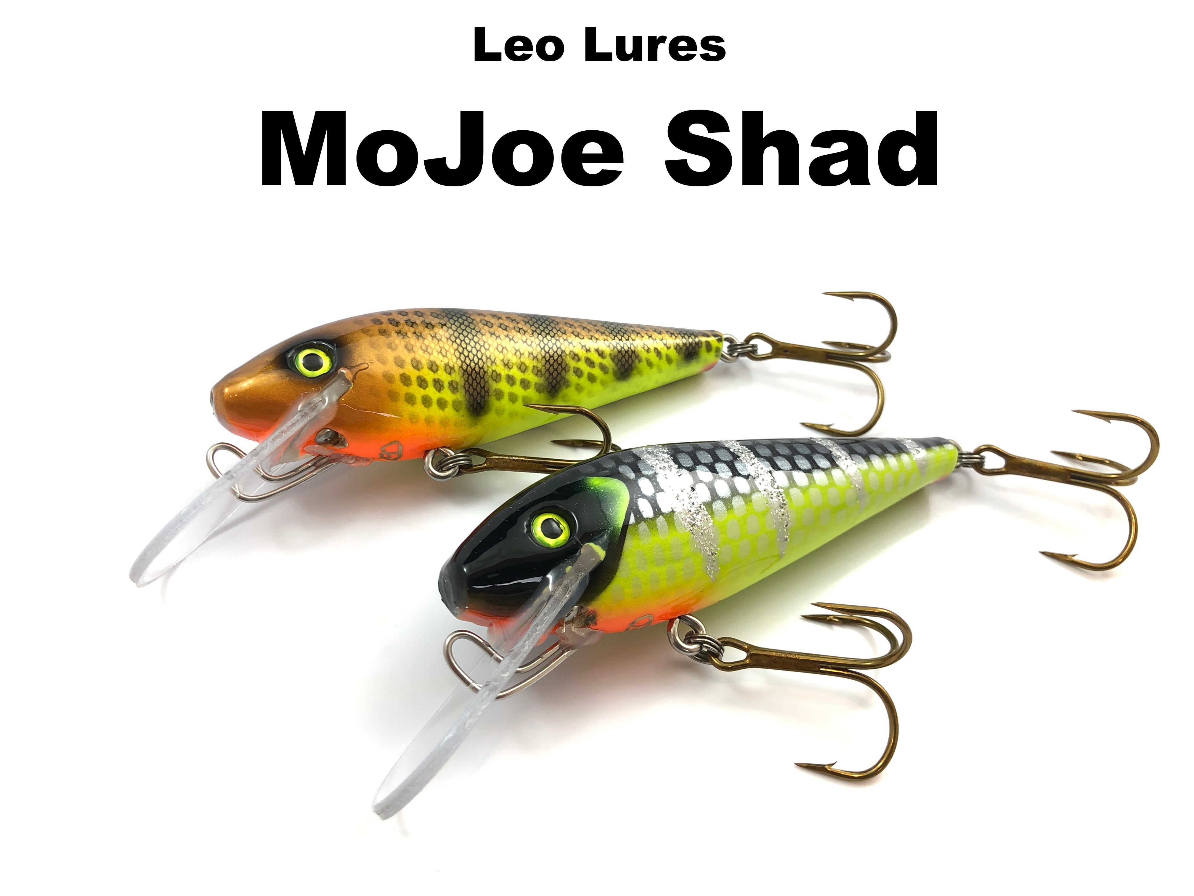 Leo Lures MoJoe Shad – Team Rhino Outdoors LLC