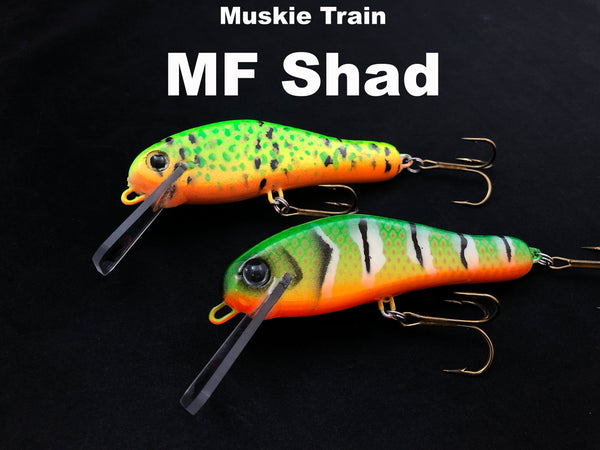 Muskie Train MF Shad