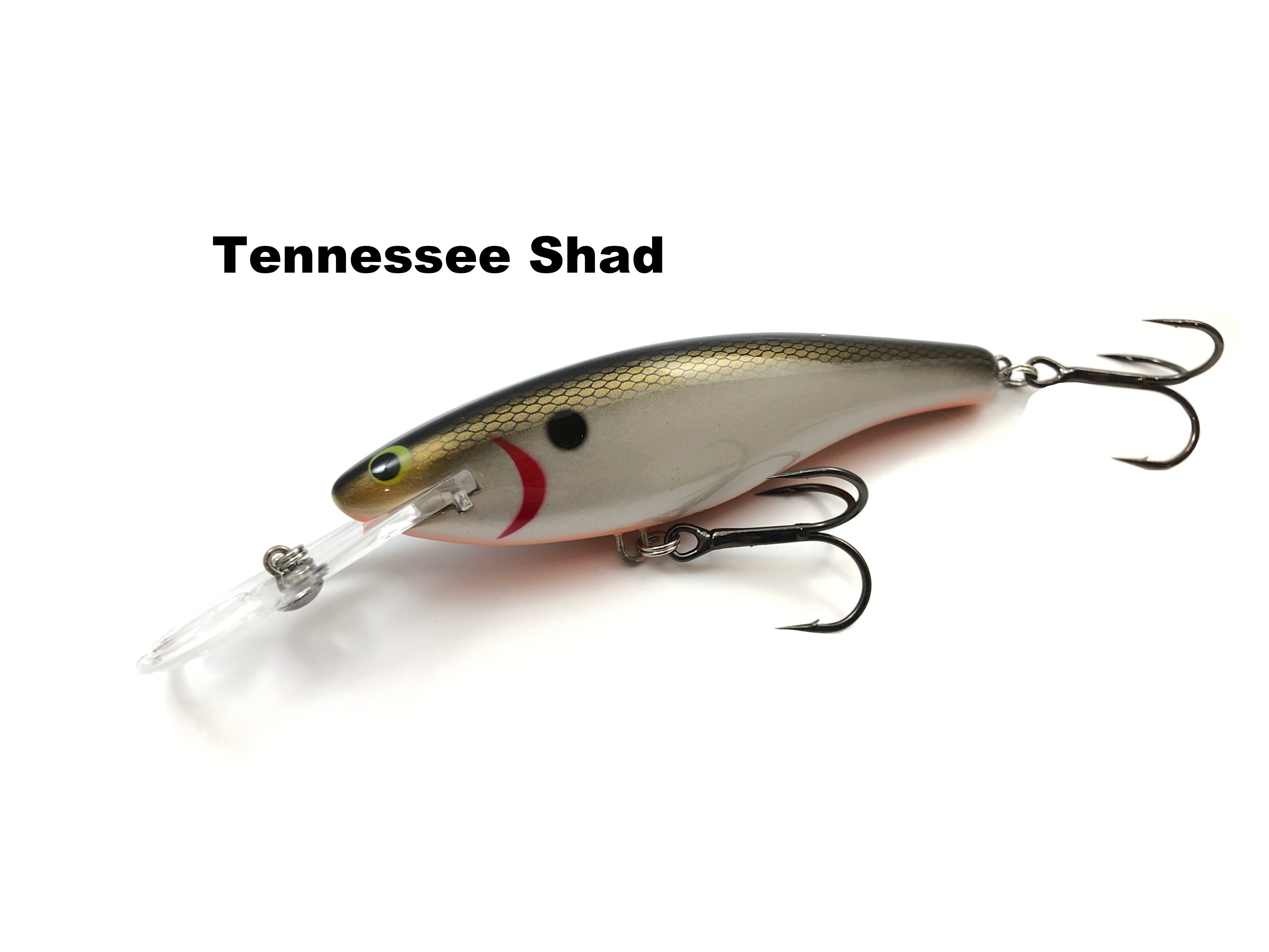 The Rumble Shad is Ready to Rumble