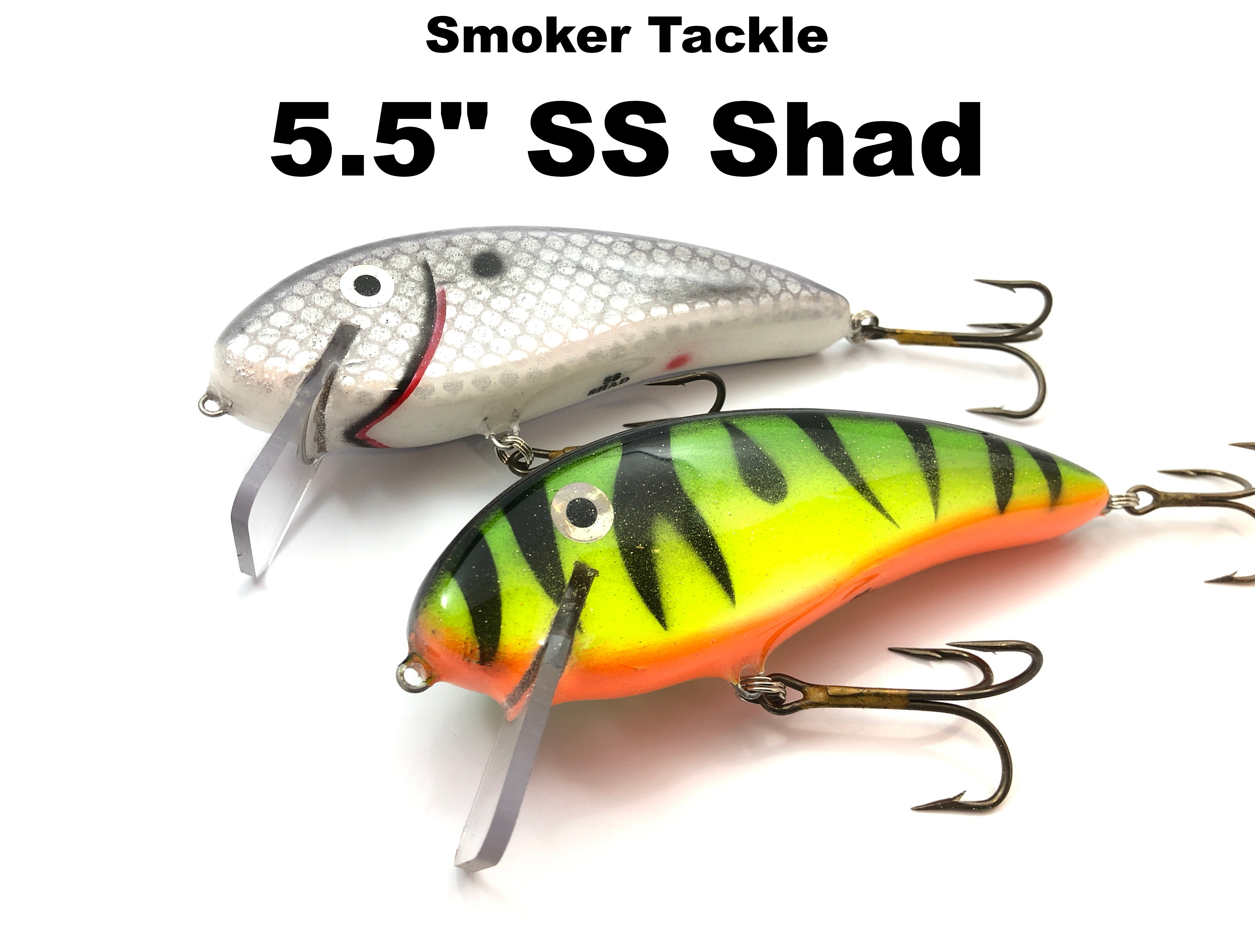  Sure Life SL183 Shad Keeper : Fishing Bait Storage : Sports &  Outdoors