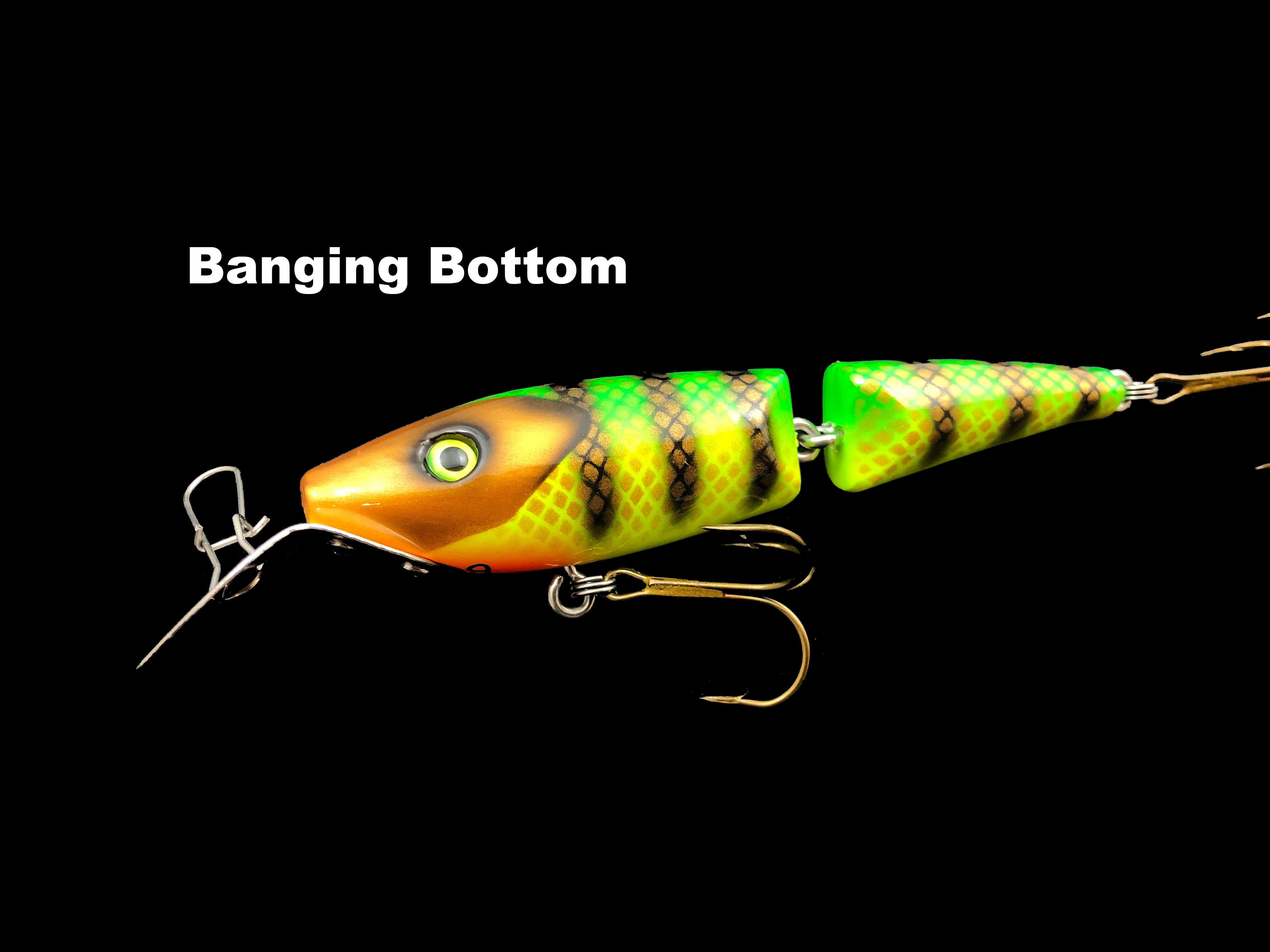 crazy sha fishing lures Leo Lures Shayla Shad – Team Rhino Outdoors LLC