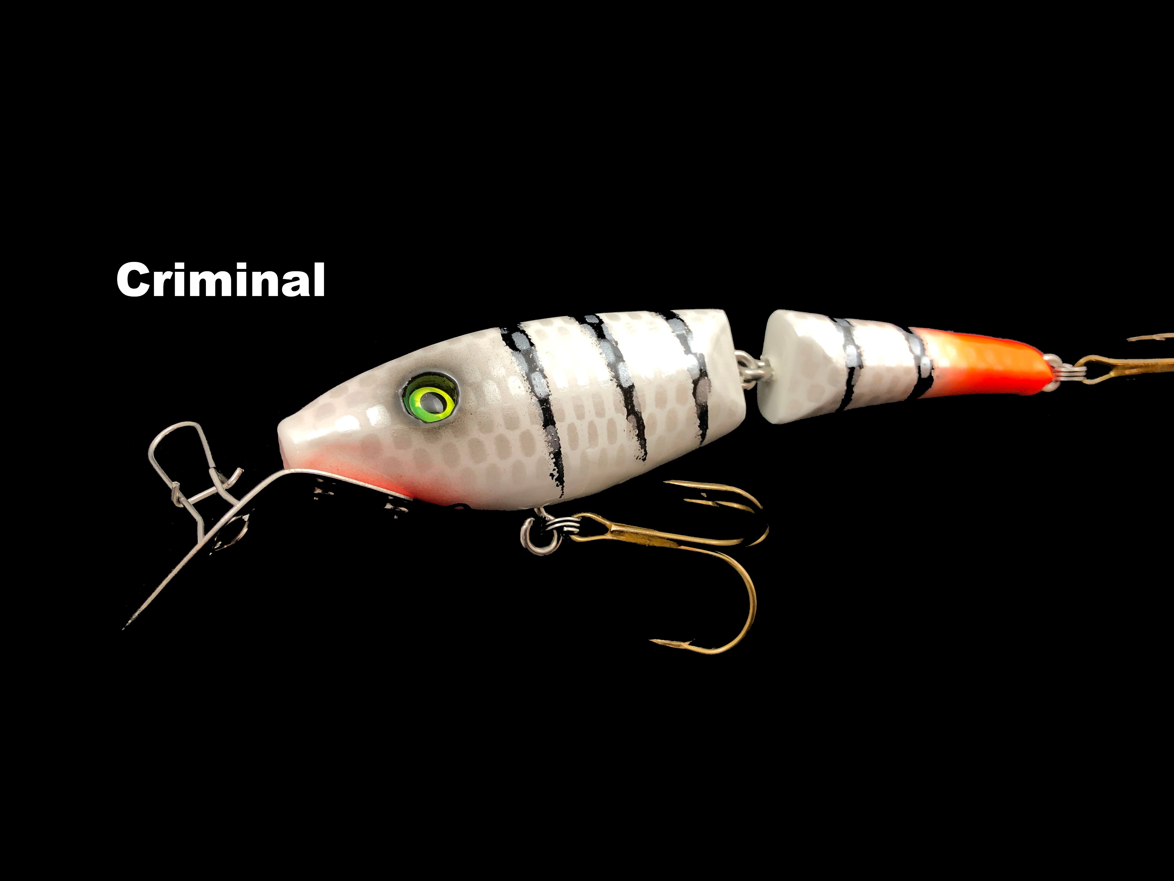 Leo Lure-Shayla Shad-Jointed 5.25 Color Ocean PerchLEO LURES-SHAYLA SHAD  JOINTED5 1/4 inches lengthThe Shayla SHAD has a lifelike fish-shaped body.  Great for casting or trolling. This shallow running lure will be ideal
