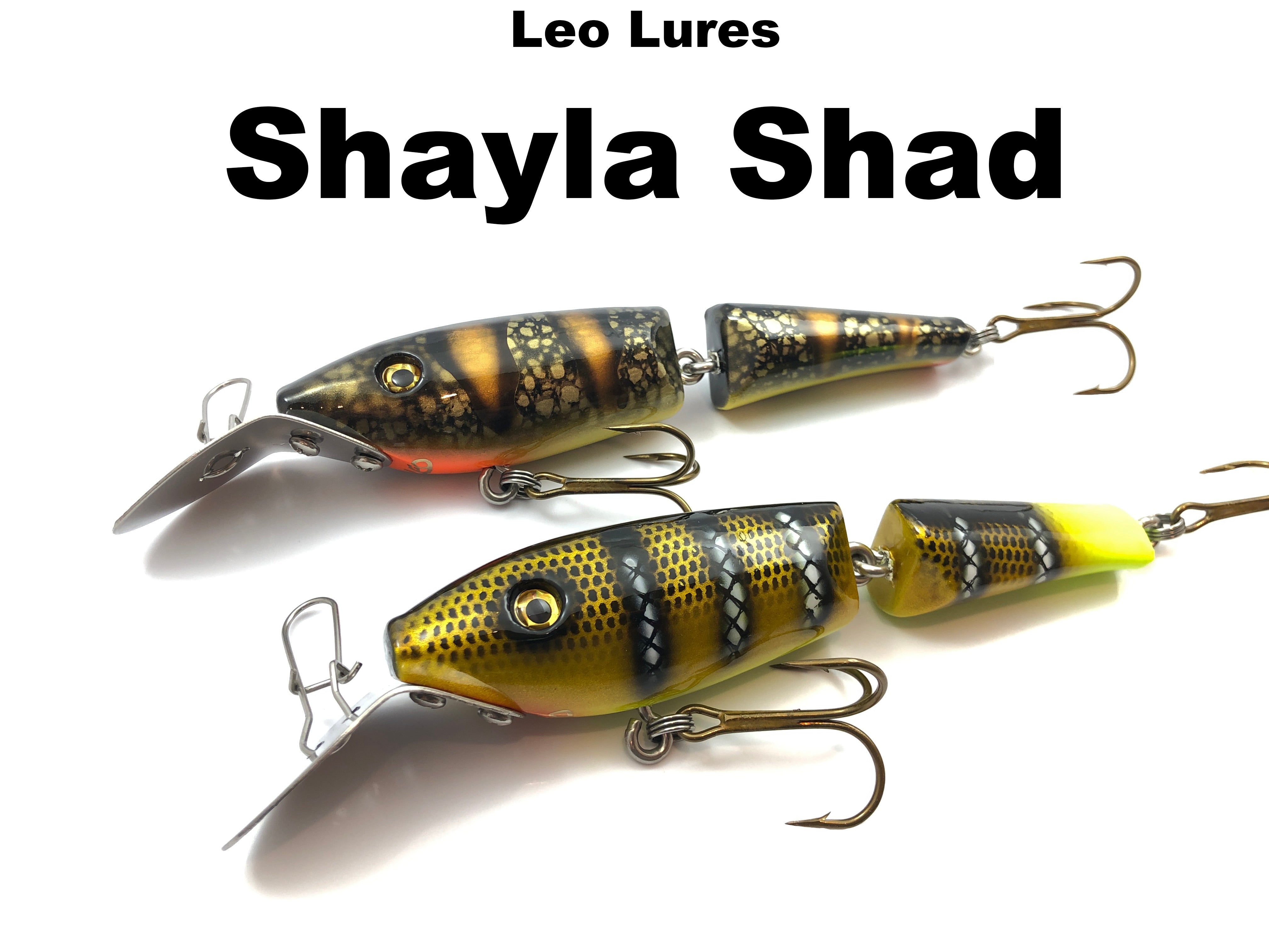 Leo Lures Shayla Shad – Team Rhino Outdoors LLC