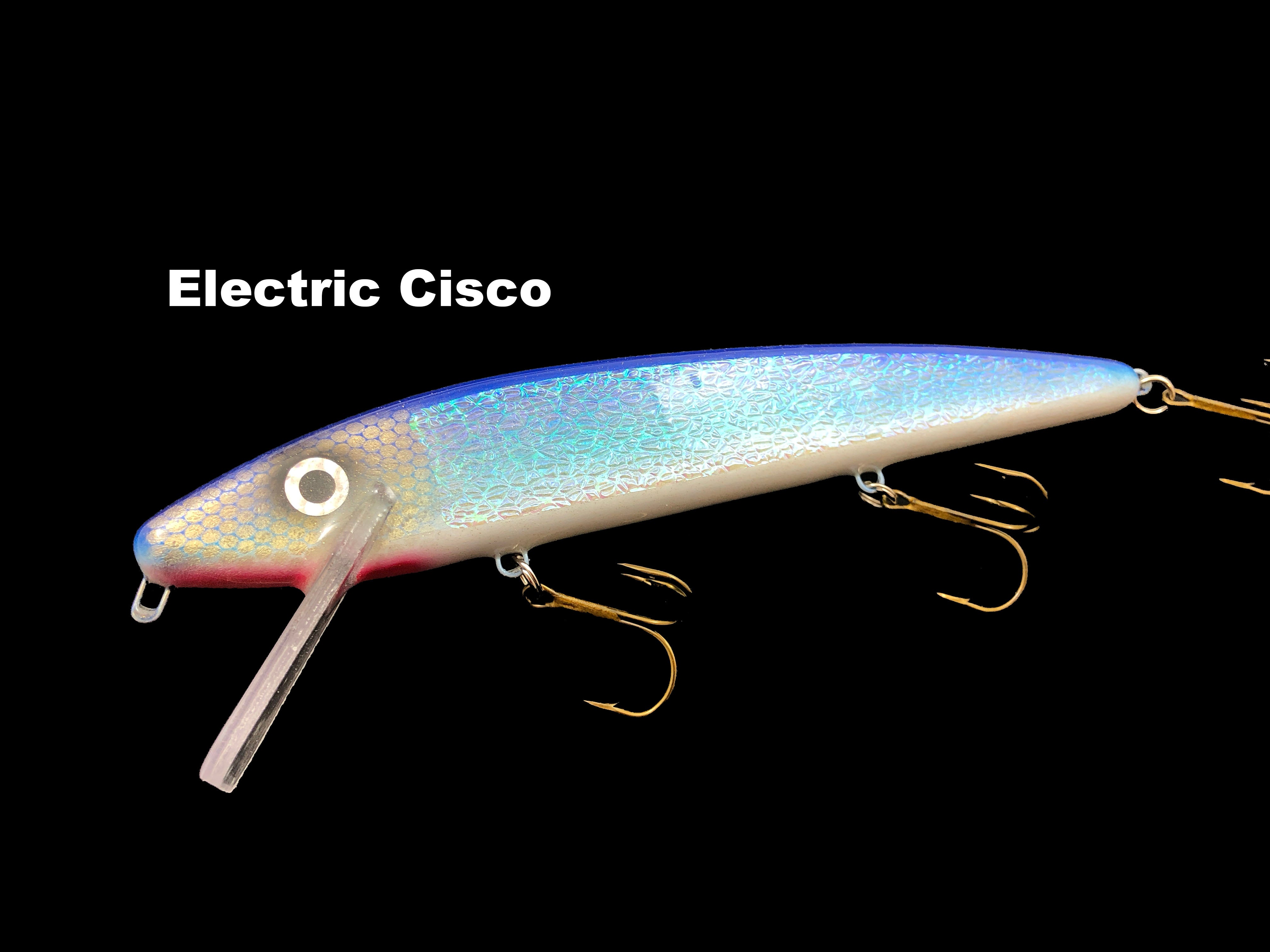 Slammer Tackle 10" Minnow Team Rhino Outdoors LLC Slammer Tackle 10" Minnow Team Rhino Outdoors LLC