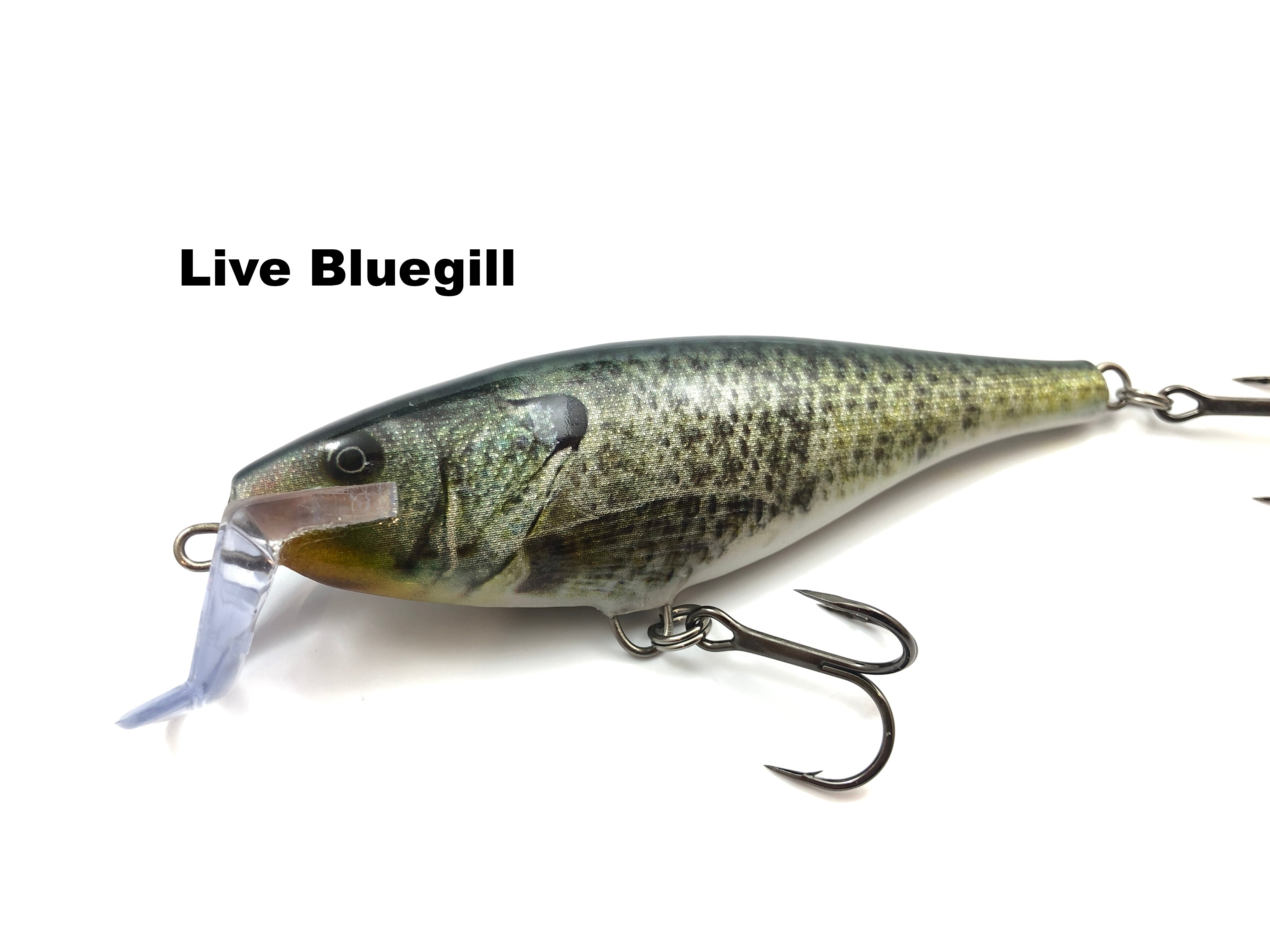 Rapala Super Shad Rap 14 Fishing lure, 5.5-Inch, Hot Tiger : :  Sports, Fitness & Outdoors