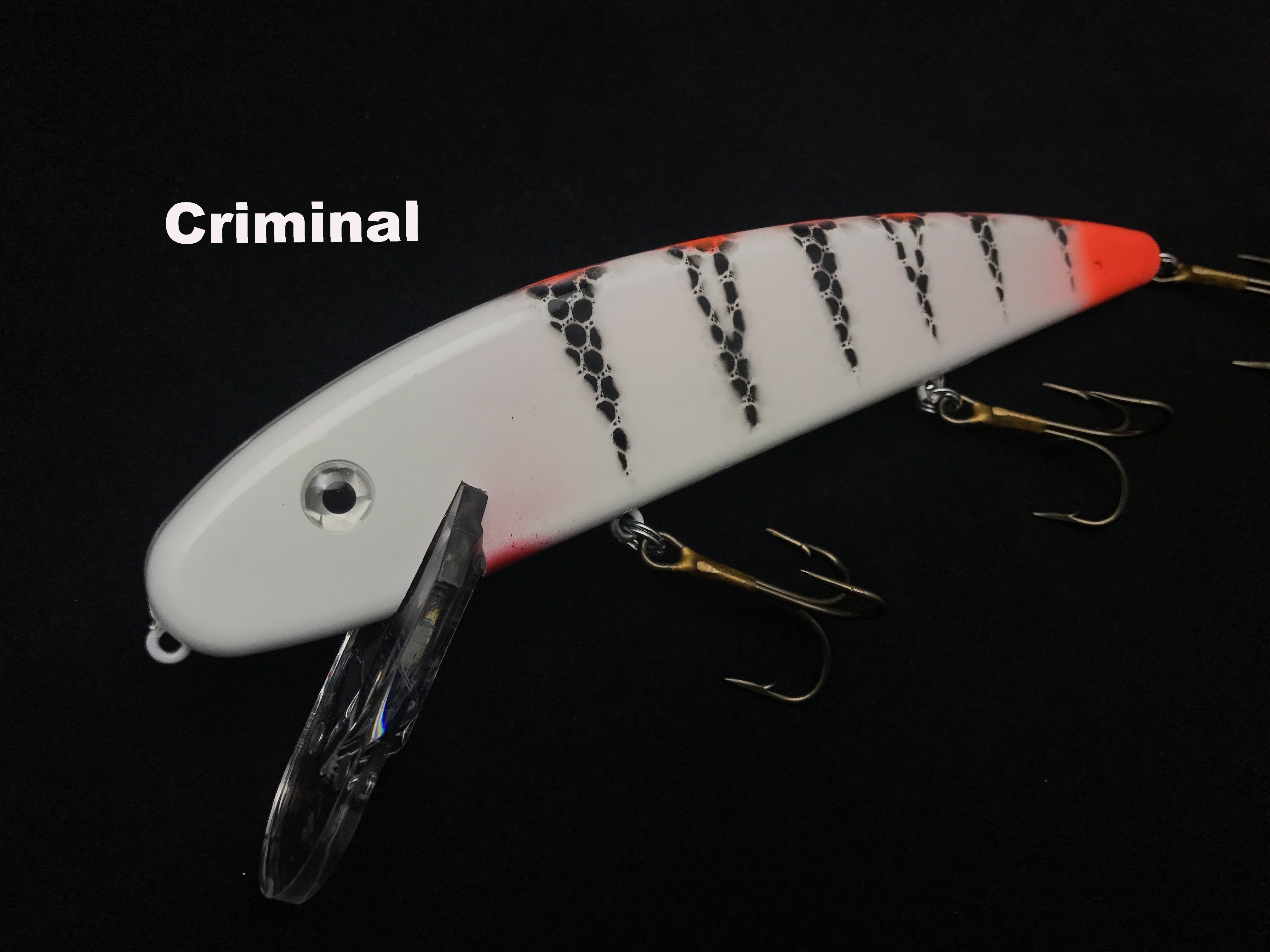 Musky Mania 8